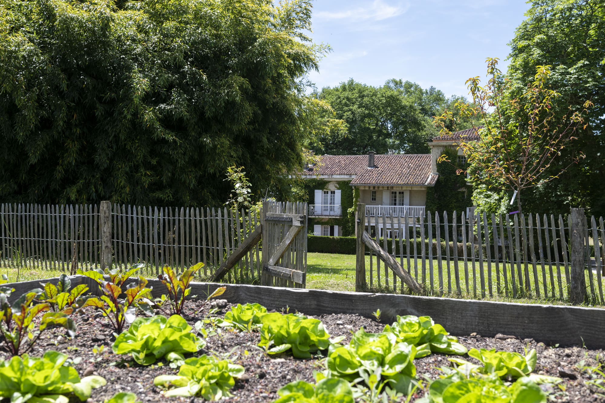 potager residence thermes