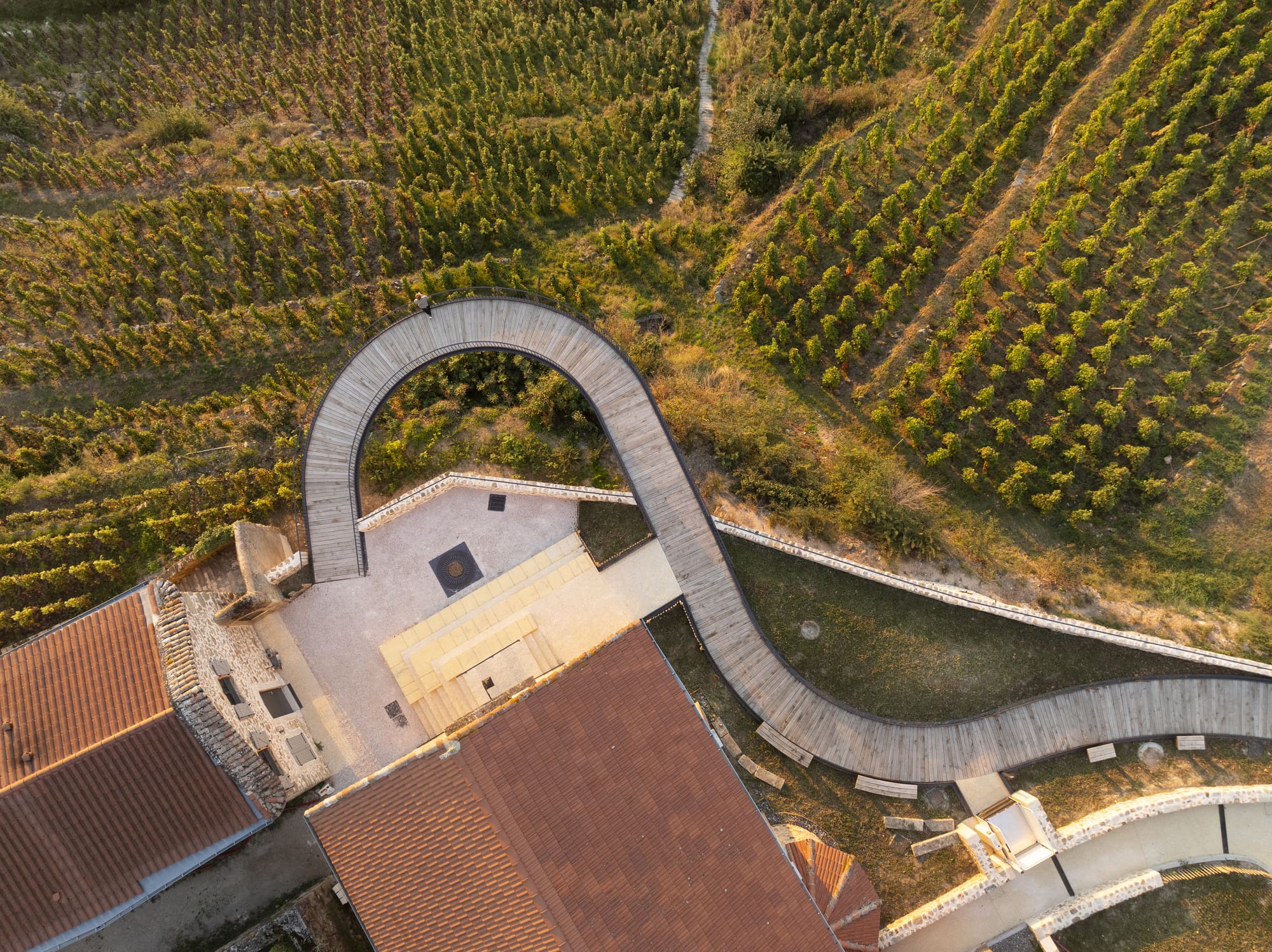 passerelle design dans les vignes