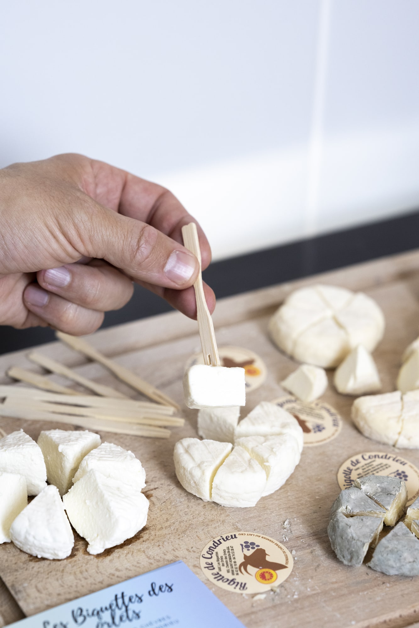 dégustation fromage de chèvre