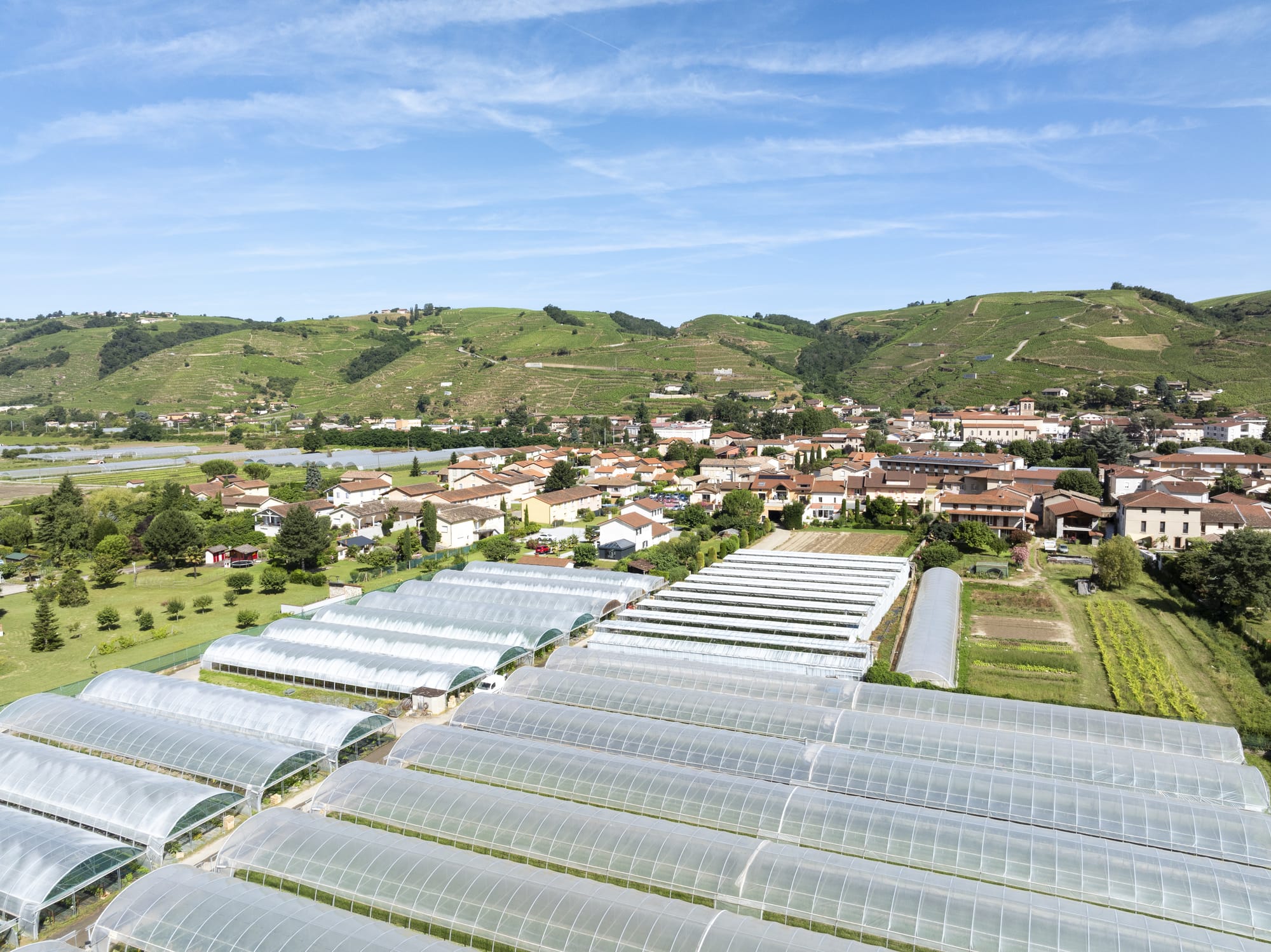 maraicher vue en drone serres