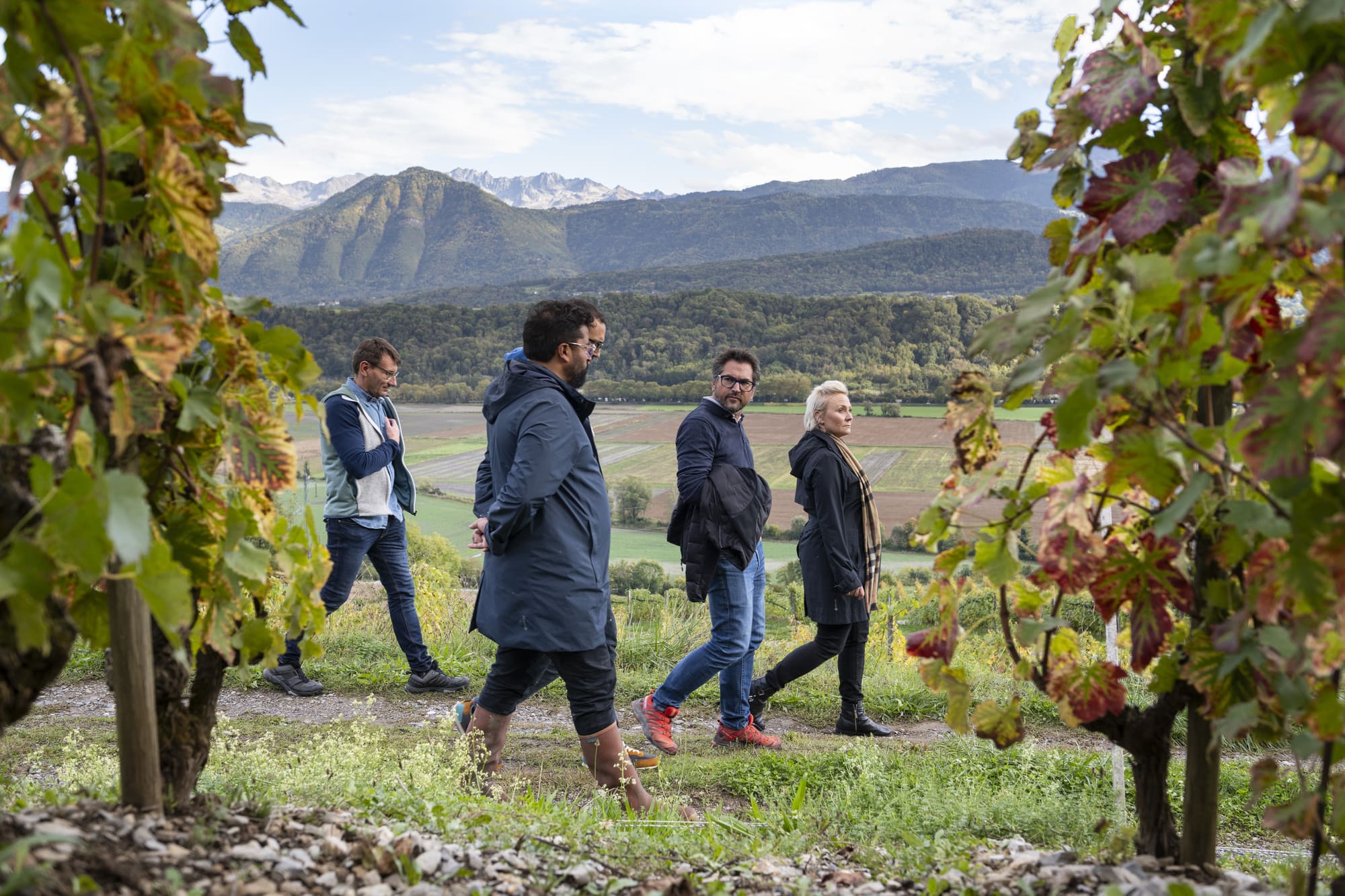 vinovoyages oenotourisme vignoble visite