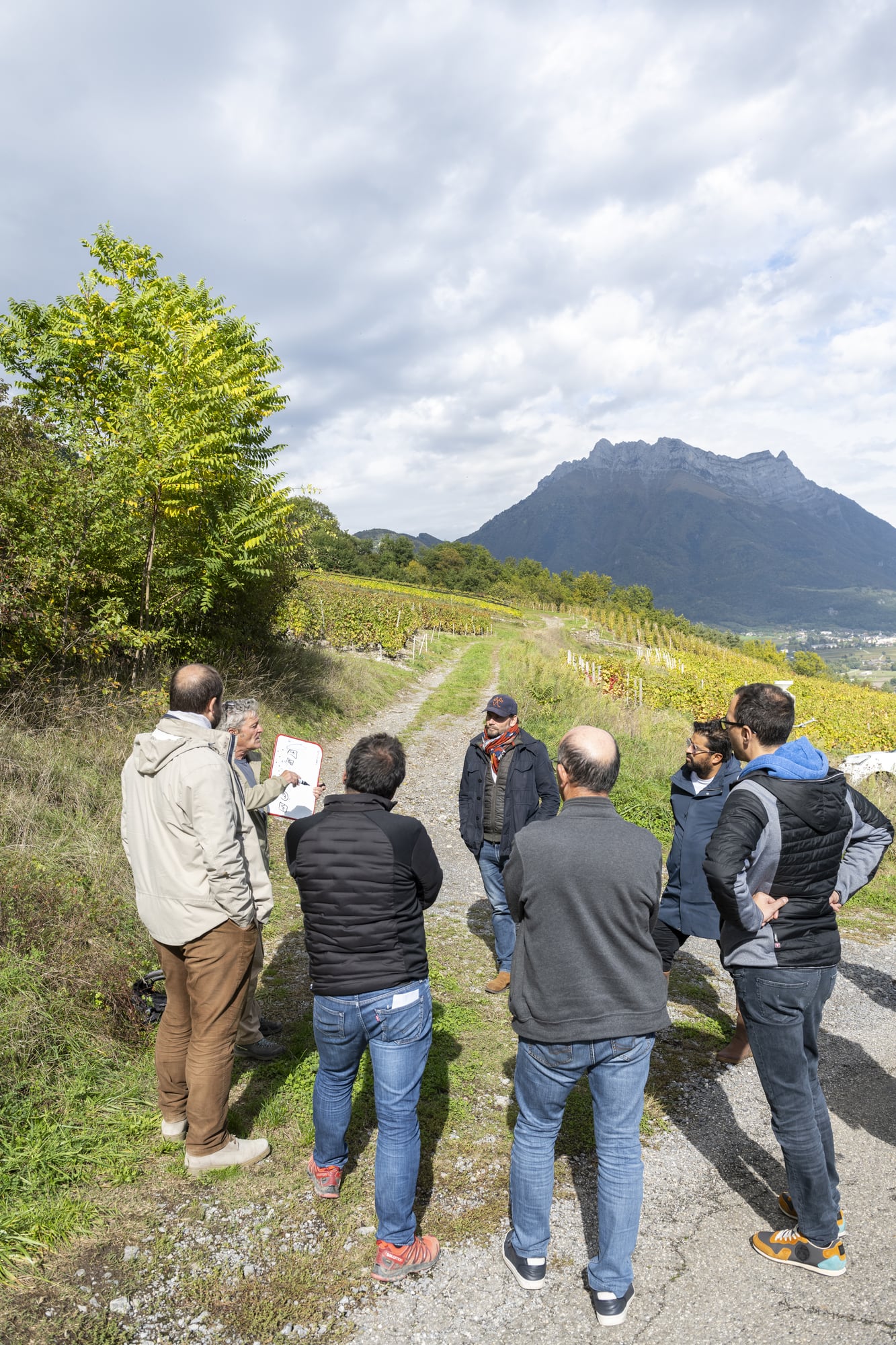 vinovoyages visite vignes