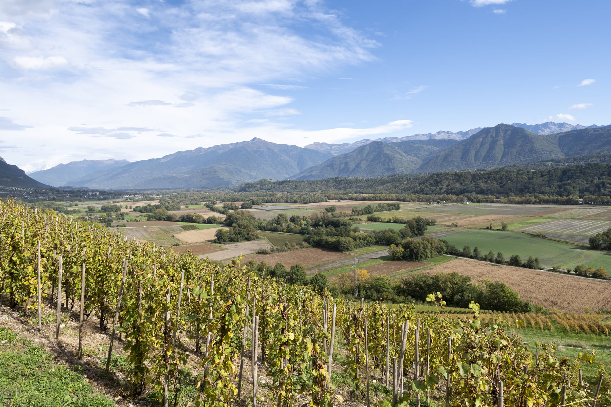 paysage montagne et vignes