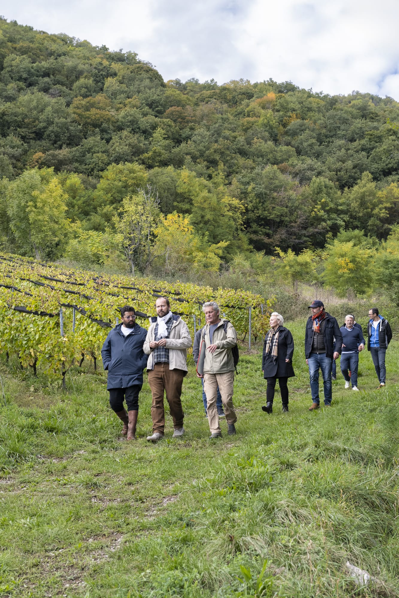 vinovoyages oenotourisme vignoble visite