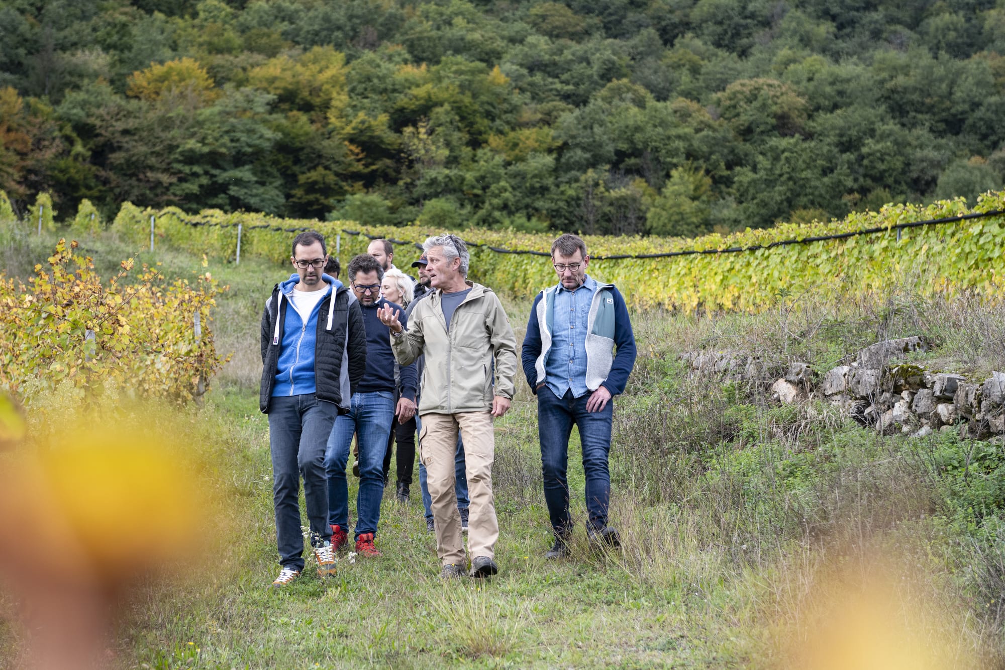 vinovoyages oenotourisme vignoble visite