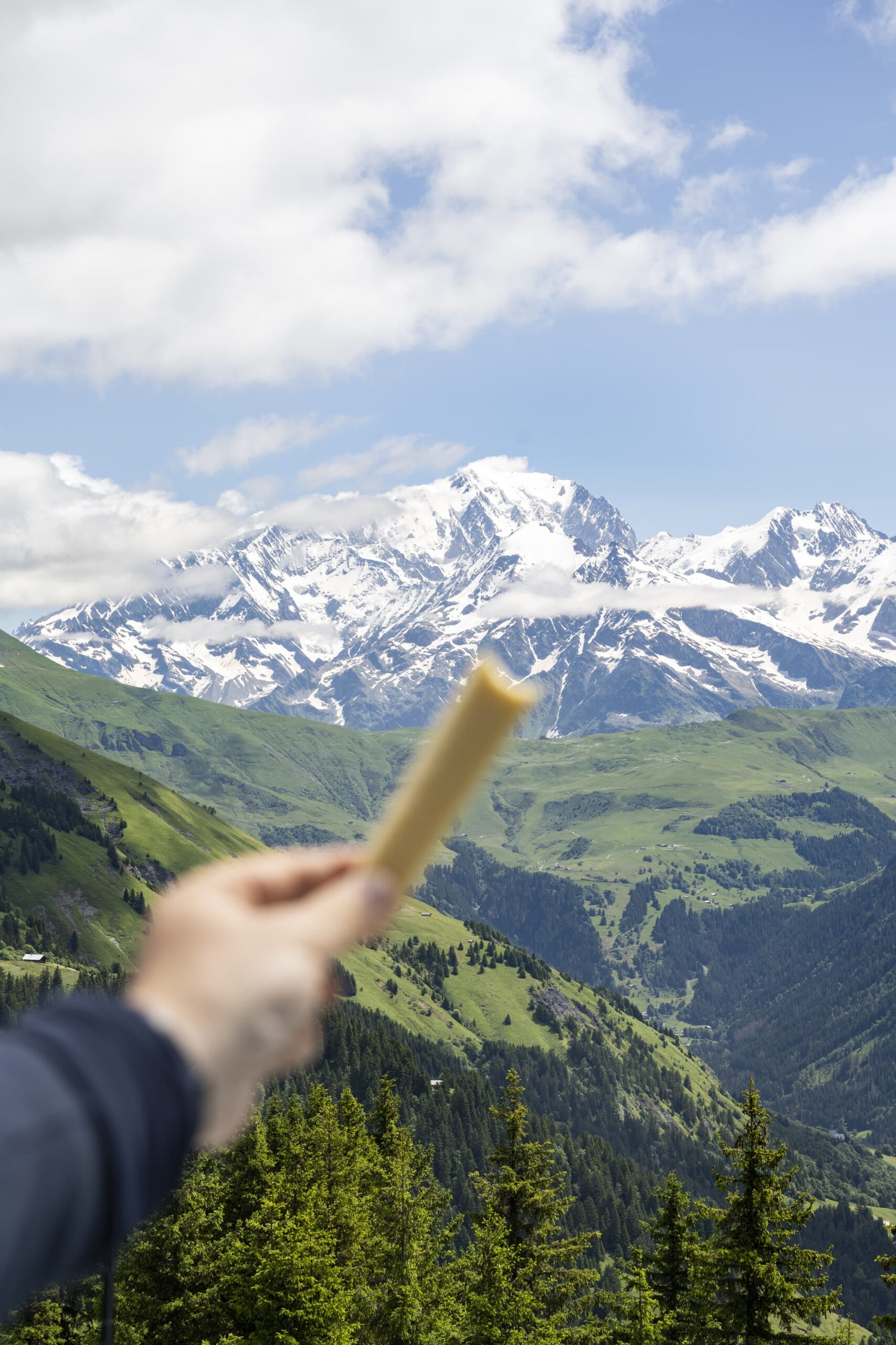 beaufort face au mont blanc