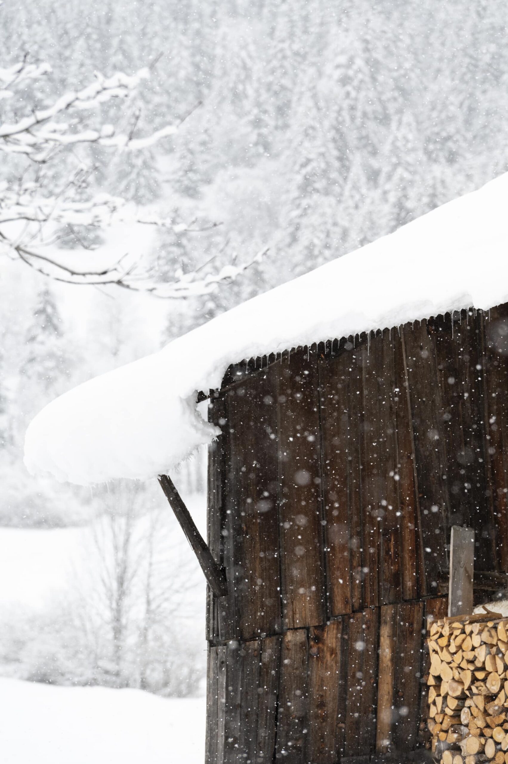 chalet sous la neige