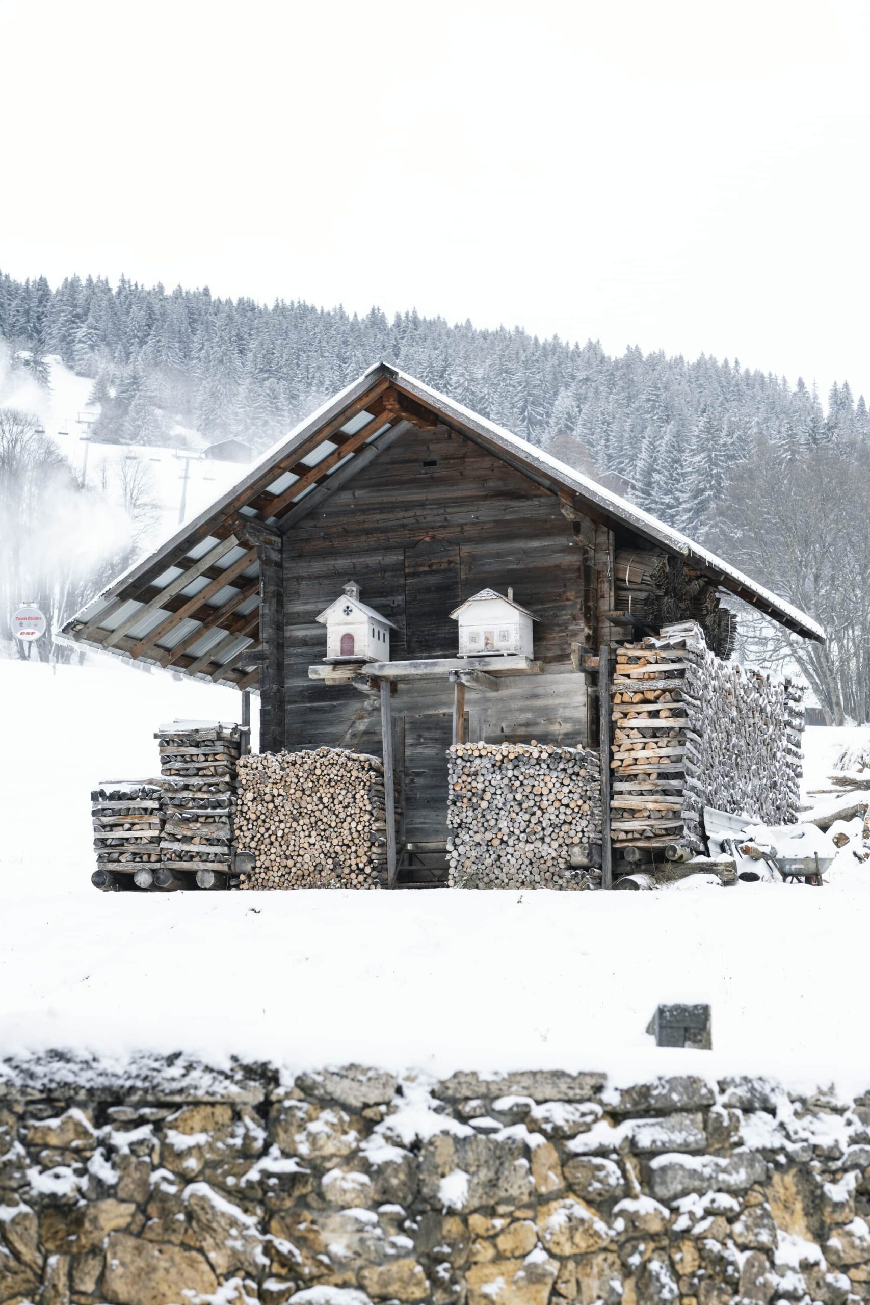 abris en bois neige