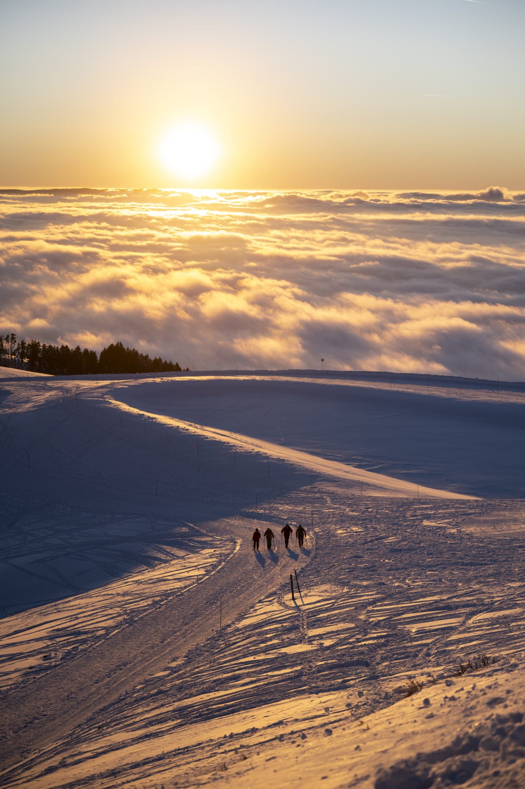 paysage hiver coucher de soleil