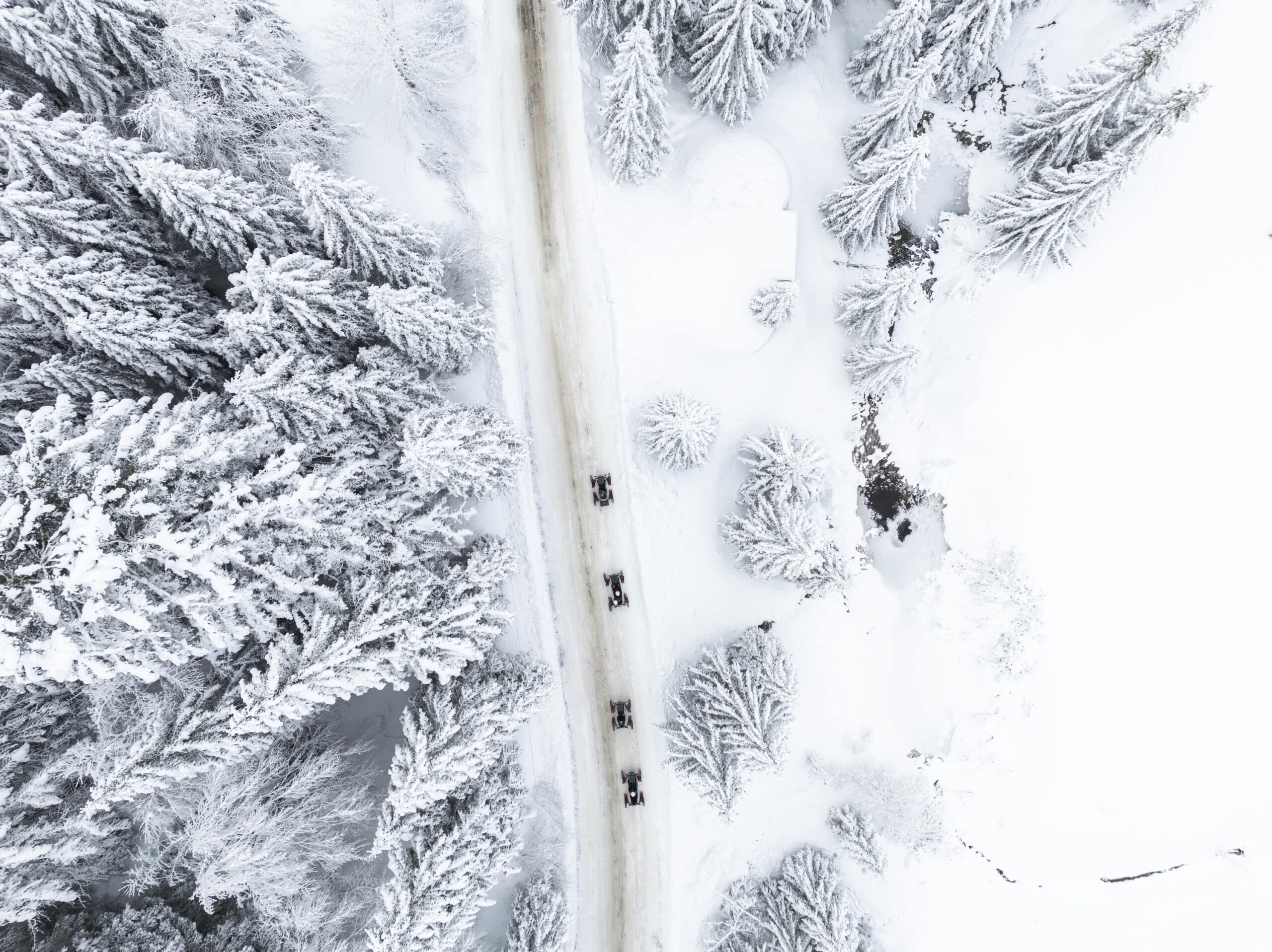 swincar hiver sur route